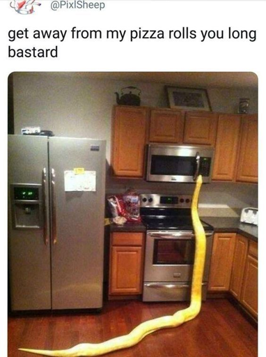 A social media post by @PixlSheep, depicting a snake in a kitchen reaching its head up to a microwave handle. The image is captioned "get away from my pizza rolls you long bastard".
