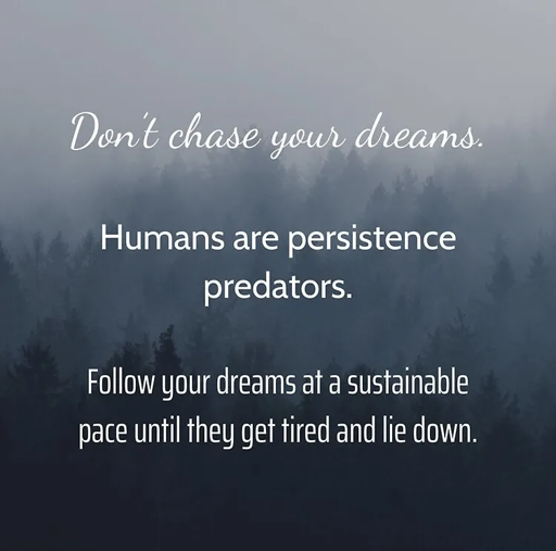Text against a background of a dark forest. The text says: Don't chase your dreams. Humans are persistence predators. Follow your dreams at a sustainable pace until they get tired and lie down.